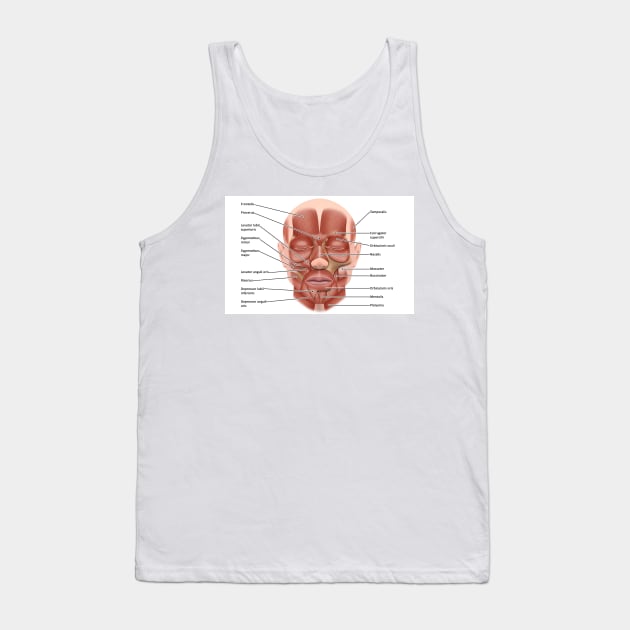 Face muscle anatomy, illustration (C046/1440) Tank Top by SciencePhoto